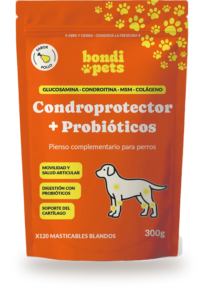 Envase naranja de BondiPets Hip & Joints + Probiotics, 120 masticables y 300 g